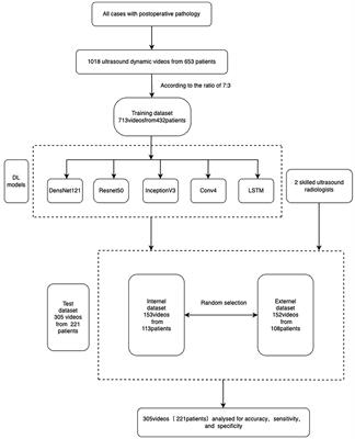 Value of deep learning models based on ultrasonic dynamic videos for distinguishing thyroid nodules